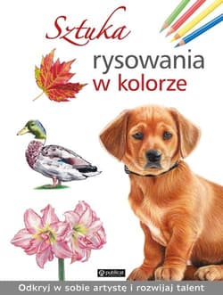Sztuka rysowania w kolorze - Opracowanie Zbiorowe