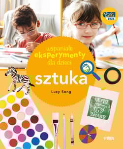 Sztuka. Wspaniałe eksperymenty - Lucy Song