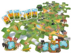 Galeria - zdjęcie nr. 2 - Szukaj i znajdź Safari