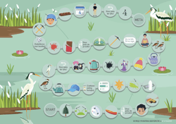 Galeria - zdjęcie nr. 2 - Szumiące planszówki logopedyczne