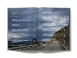 Galeria - zdjęcie nr. 3 - Szwecja Gdzie wiking pije owsiane latte