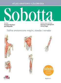 Tablice anatomiczne mięśni, stawów i nerwów. Łacińskie mianownictwo Atlas anatomii człowieka Sobotta - Paulsen F.,  Waschke J.