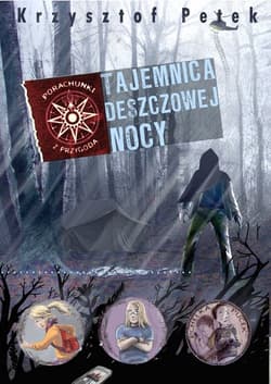 Tajemnica deszczowej nocy - Krzysztof Petek