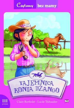 Tajemnica konia Dżango 3 etap czytania