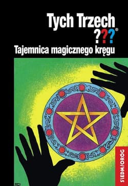 Tajemnica magicznego kręgu Tych Trzech - Andy Chandler