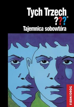 Tajemnica sobowtóra Tych Trzech - Andy Chandler