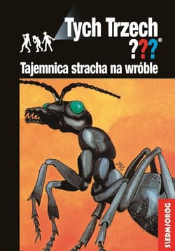 Tajemnica stracha na wróble Tych Trzech - Andy Chandler