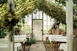 Galeria - zdjęcie nr. 4 - Tajemnice angielskiego ogrodu