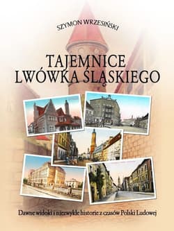 Tajemnice Lwówka Śląskiego - Szymon Wrzesiński