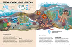 Galeria - zdjęcie nr. 2 - Tajemnice mórz i oceanów Atlas bioróżnorodności