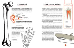 Galeria - zdjęcie nr. 2 - Tajemnice szkieletów. O czym klekoczą kości?