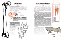 Galeria - zdjęcie nr. 2 - Tajemnice szkieletów. O czym klekoczą kości?