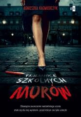 Tajemnice szkolnych murów - Agnieszka Kaźmierczyk