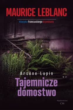 Tajemnicze domostwo - Leblanc Maurice