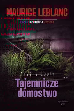 Tajemnicze domostwo - Leblanc Maurice