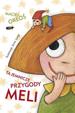 Tajemnicze przygody Meli - Maciej Orłoś