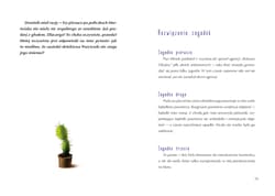 Galeria - zdjęcie nr. 3 - Tajemnicze zniknięcie detektywa Pozytywki