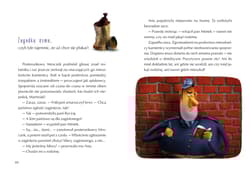 Galeria - zdjęcie nr. 5 - Tajemnicze zniknięcie detektywa Pozytywki