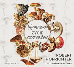 Tajemnicze życie grzybów - audiobook - Robert Hofrichter