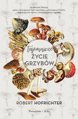 Tajemnicze życie grzybów - ebook - Robert Hofrichter