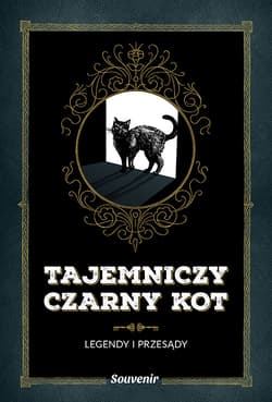 Tajemniczy czarny kot Legendy i przesądy - Nathalie Semenuik