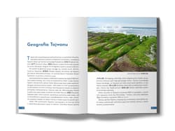 Galeria - zdjęcie nr. 4 - Tajwan. Nocne targi, herbata z tapioką i demokracja