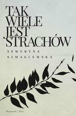 Tak wiele jest strachów - ebook - Seweryna Szmaglewska