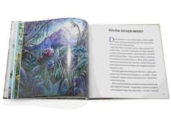 Galeria - zdjęcie nr. 4 - Tam gdzie mieszkają Bajki 2