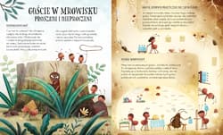 Galeria - zdjęcie nr. 2 - Tam, gdzie mieszkaja mrówki