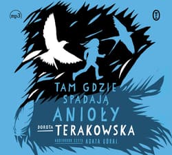 Tam, gdzie spadają Anioły - audiobook - Dorota Terakowska