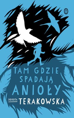Tam gdzie spadają Anioły - ebook - Dorota Terakowska