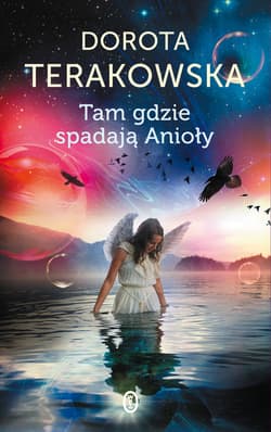 Tam gdzie spadają Anioły - ebook