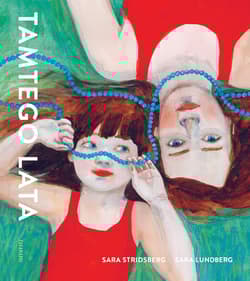 Tamtego lata - Sara Stridsberg