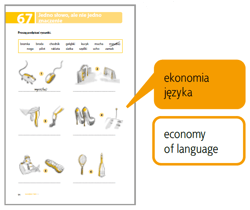 Galeria - zdjęcie nr. 5 - Testuj swój Polski Słownictwo 2 w.3