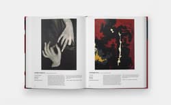 Galeria - zdjęcie nr. 3 - The American Art Book