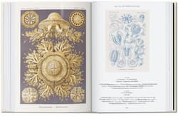 Galeria - zdjęcie nr. 2 - The Art and Science of Ernst Haeckel. 40th Ed. wer. angielska