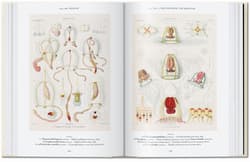 Galeria - zdjęcie nr. 4 - The Art and Science of Ernst Haeckel. 40th Ed. wer. angielska