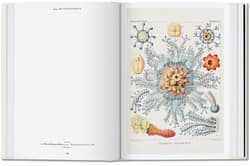 Galeria - zdjęcie nr. 3 - The Art and Science of Ernst Haeckel. 40th Ed. wer. angielska