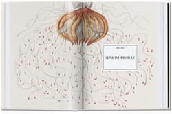 Galeria - zdjęcie nr. 2 - The Art and Science of Ernst Haeckel. 40th Ed. wer. angielska