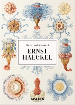 The Art and Science of Ernst Haeckel. 40th Ed. wer. angielska - Julia Voss, Rainer Willmann