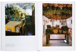 Galeria - zdjęcie nr. 4 - The Avant Gardens. Visionaries and Gardens Beyond Wild Expectations
