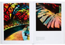 Galeria - zdjęcie nr. 3 - The Avant Gardens. Visionaries and Gardens Beyond Wild Expectations