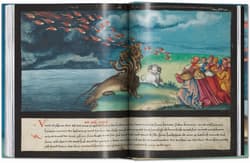 Galeria - zdjęcie nr. 5 - The Book of Miracles wer. angielska