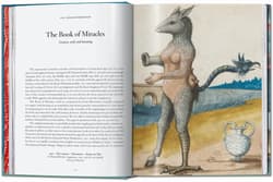 Galeria - zdjęcie nr. 5 - The Book of Miracles wer. angielska