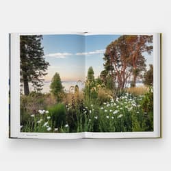 Galeria - zdjęcie nr. 3 - The Coastal Garden