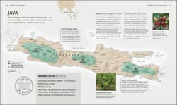 Galeria - zdjęcie nr. 5 - the Coffee Book wer. angielska