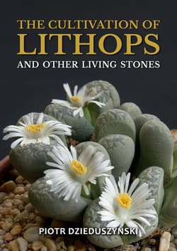 The cultivation of lithops and other living stones - ebook
