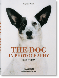 The Dog in Photography 1839-Today wer. angielska