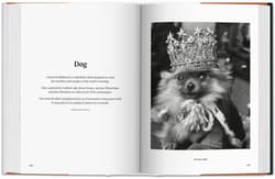 Galeria - zdjęcie nr. 4 - The Dog in Photography 1839-Today wer. angielska