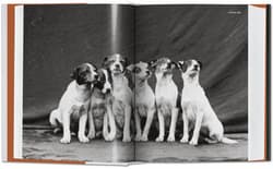 Galeria - zdjęcie nr. 5 - The Dog in Photography 1839-Today wer. angielska